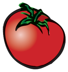 Tomato